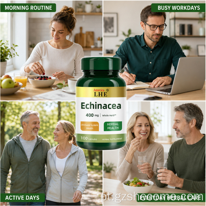 Cápsulas de Shecome Echinacea apoiam a saúde imunológica